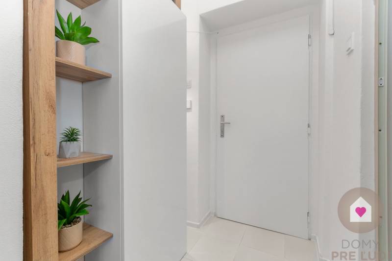 Cozy studio apartment with a white hallway, shelves, and a plant on a floor with a wooden decor.