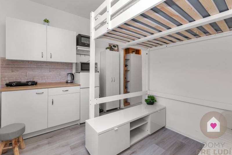 A studio apartment with a loft bed, a kitchenette, and a floor with a wood design.