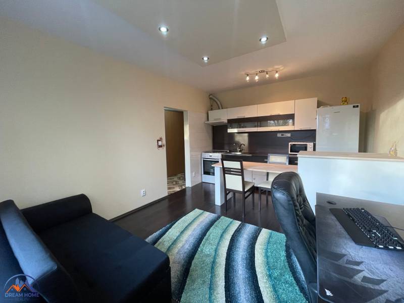 Interior of a 1-room apartment with a kitchenette and a wooden decor floor.
