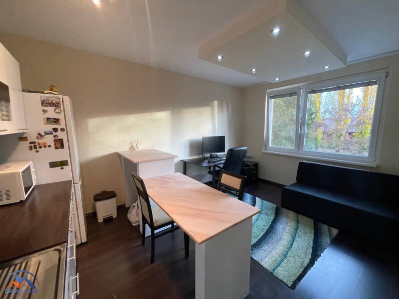Kitchen corner in a studio apartment with a wood-patterned floor and a view of greenery.