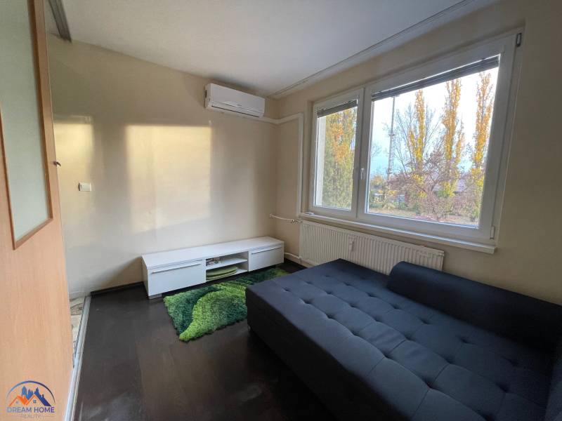 A room in a one-bedroom apartment with a couch, a green carpet, and a wood-patterned floor.