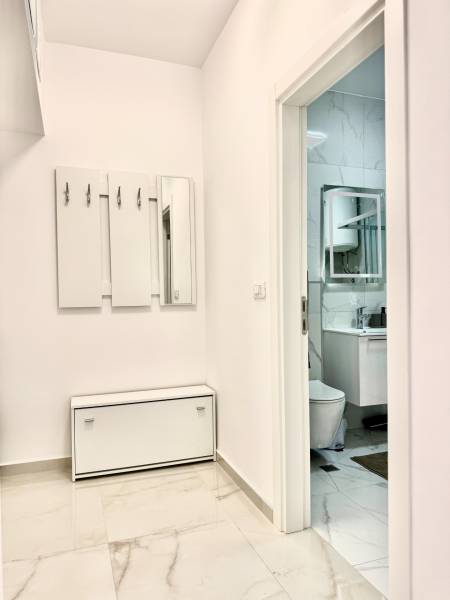 A hallway with coat racks and a mirror in a studio apartment, with a view of the bathroom facilities.