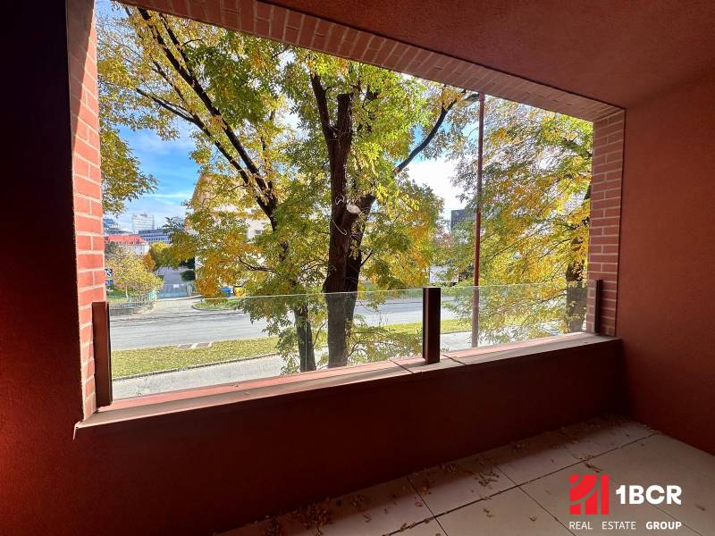 View from the balcony of greenery and the road in Bratislava - Ružinov on Košická Street.