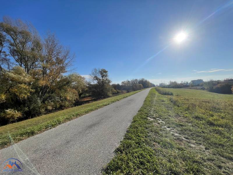 An asphalt road surrounded by trees and meadows at the Cottage in Nova Osada in Komárno.
