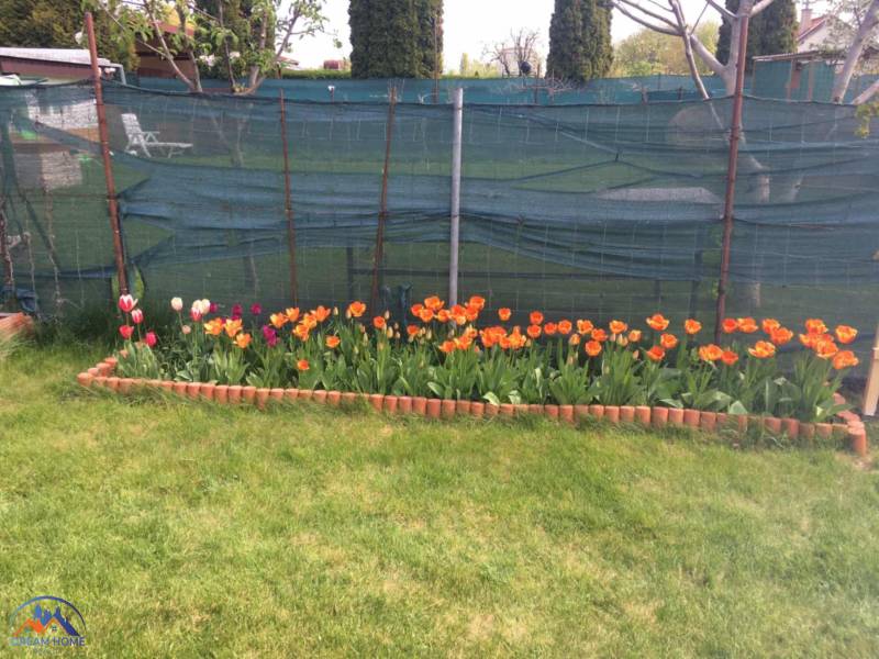 A colorful garden at the cottage in Nova Osada in Komárno with a flower bed of tulips.