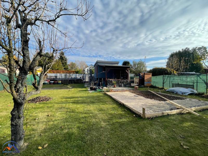 A garden at the cottage in Nova Osada in Komárno with a tree and a lawn.
