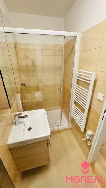 A bathroom with tiled walls, a shower corner, and a sink in a studio apartment.