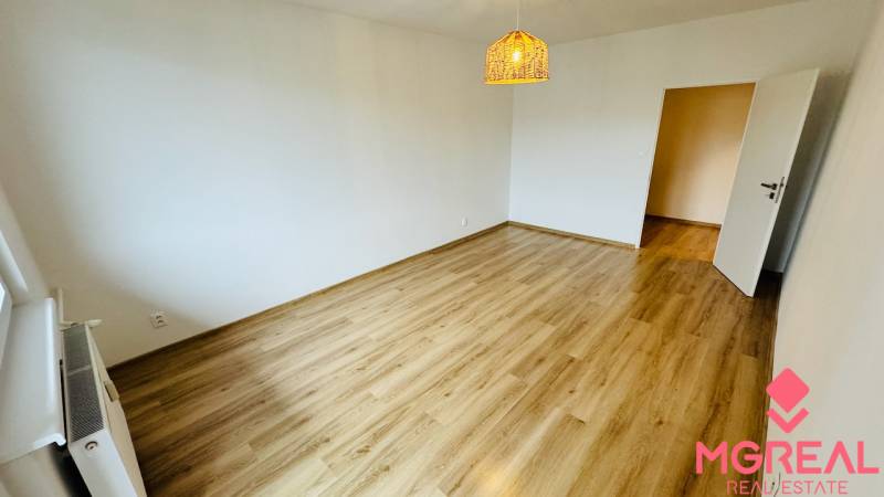 A spacious room with light-colored walls and a floor with a wood decor in a studio apartment.