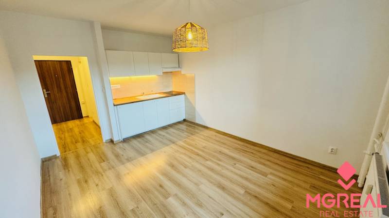 Interior of a 1-room apartment with a kitchen, wooden decor flooring, and pendant lighting.
