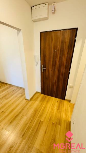 Entrance area with wood-patterned flooring in a studio apartment.