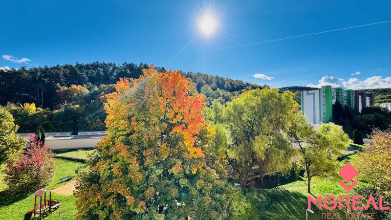 Autumn landscape with colorful trees and a view of Nádražná Street in Partizánske.