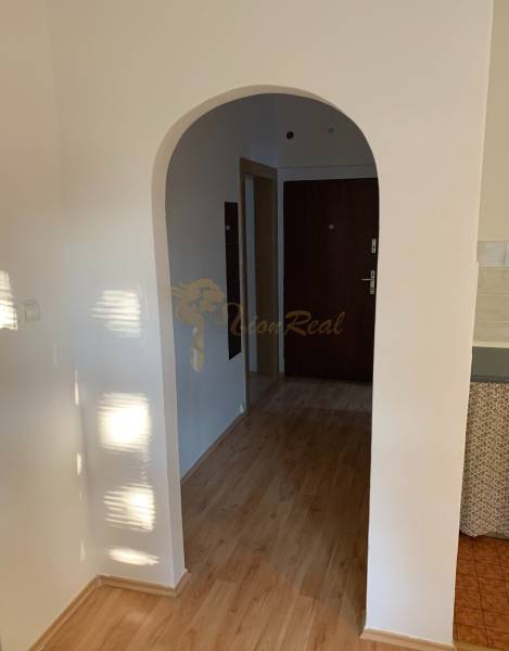 Arched passage, wooden decor flooring, white walls in a 2-room apartment.