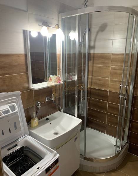 Bathroom in a 2-room apartment with a sink, shower, and washing machine.