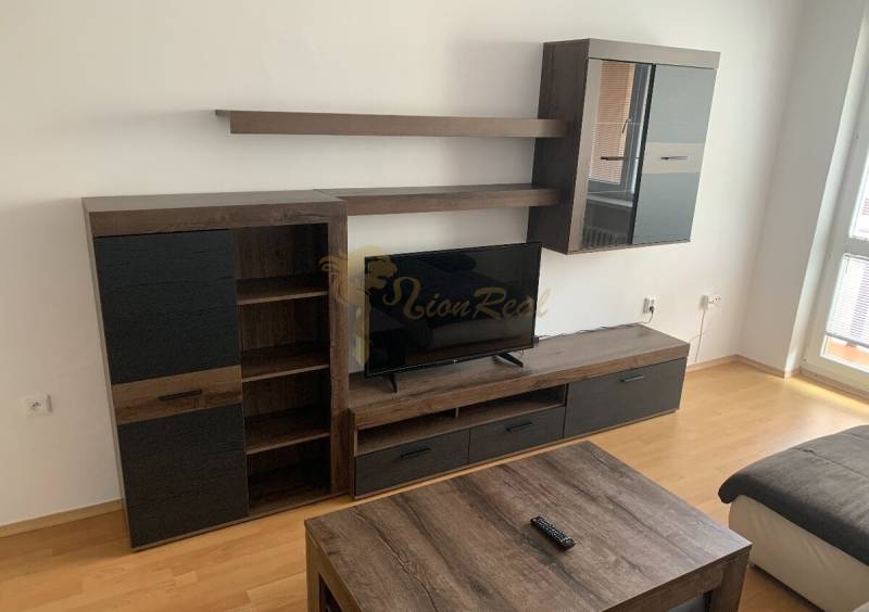Living room wall unit and television in a 2-room apartment with a wood-patterned floor.
