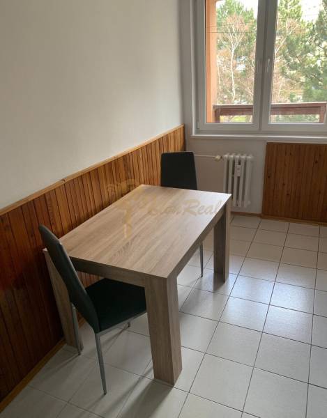Dining area in a 2-room apartment with wooden paneling and tiles.