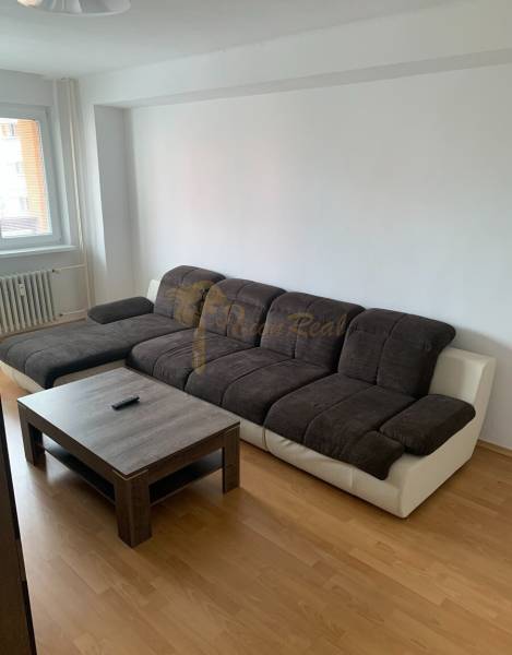 Living room in a two-room apartment with a dark sofa and a wooden decor floor.