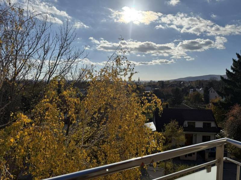 View from the balcony of a 4-room apartment on Pekníkova Street in Pezinok with autumn trees.