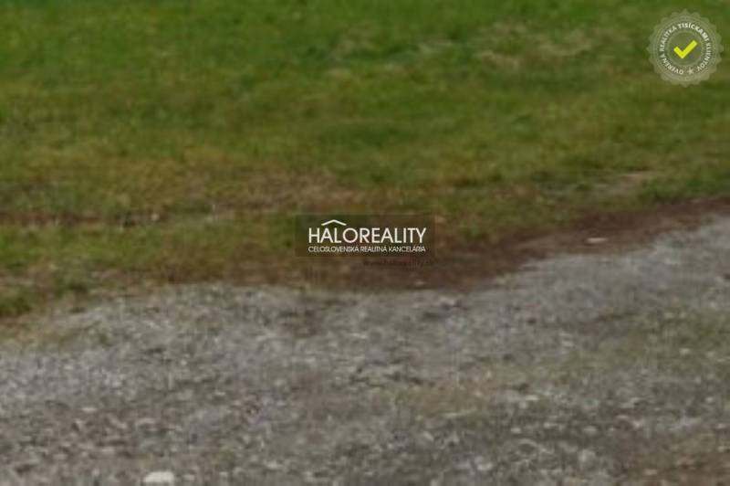 Greenery on the plot in Dulova Ves designated for housing.