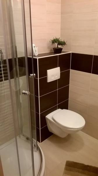 A bathroom with a shower, a wall-hung toilet, and a plant in a studio apartment.