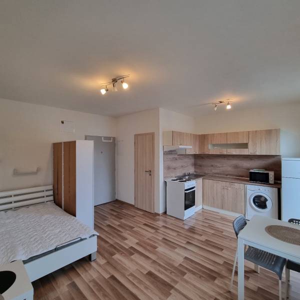 Studio apartment with wood-patterned flooring, kitchen unit, bed, washing machine, and dining table.
