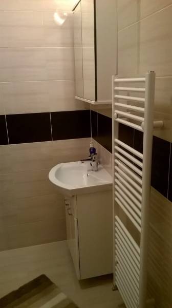 A studio apartment bathroom with a sink, mirrored cabinet, and ladder radiator.