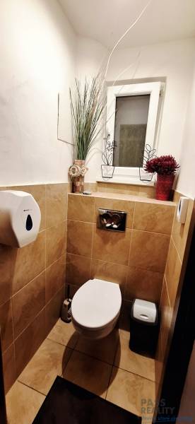Restroom in commercial premises with tiles and decorative plants.