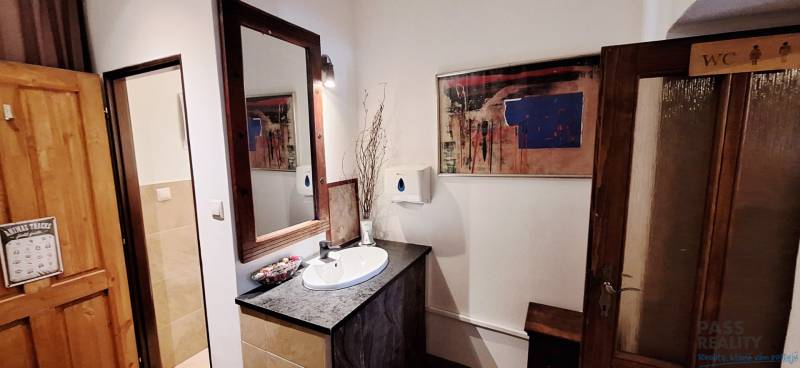 Bathroom commercial spaces with a sink, decorative mirror, and wooden door.