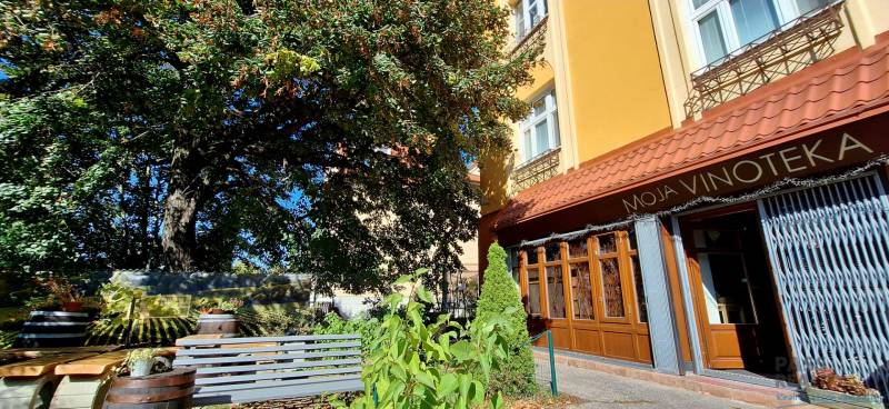 Commercial premises in a wine shop on Prokopa Veľkého in Bratislava - Staré Mesto surrounded by greenery.