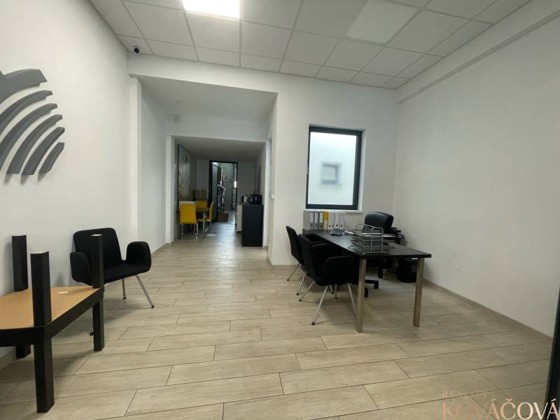 Commercial spaces with wood-decor flooring, minimalist furniture, and striking chairs.