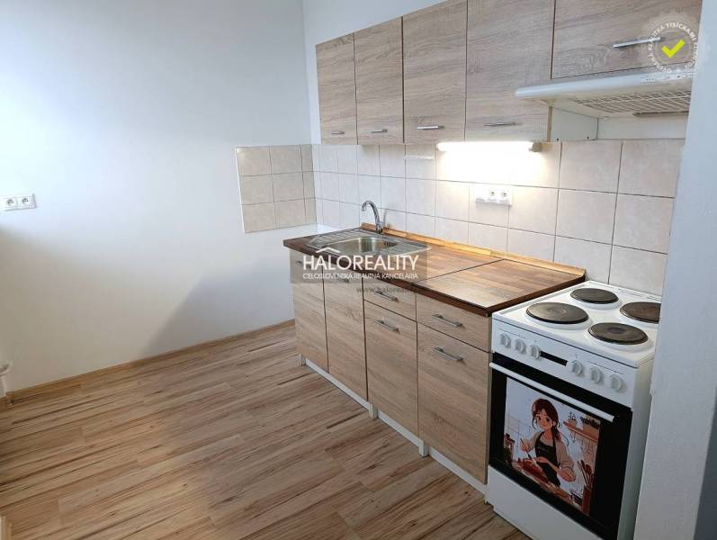 A kitchen in a studio apartment with a wood-patterned floor and an electric stove.