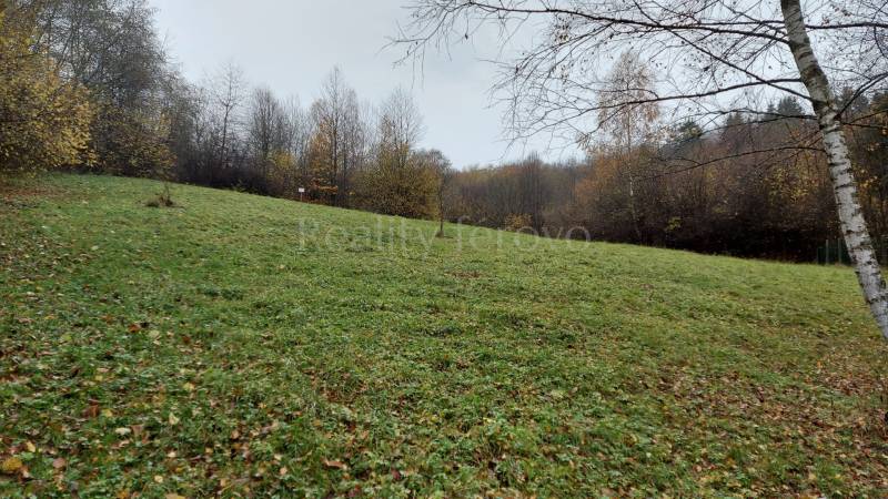 A wooded slope of the Recreational Grounds near Podhradie at Konská, surrounded by autumn trees.