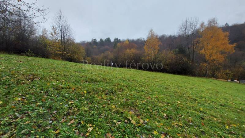 Greenery on the recreational lands of Konská in Podhradie with autumn trees in the background.
