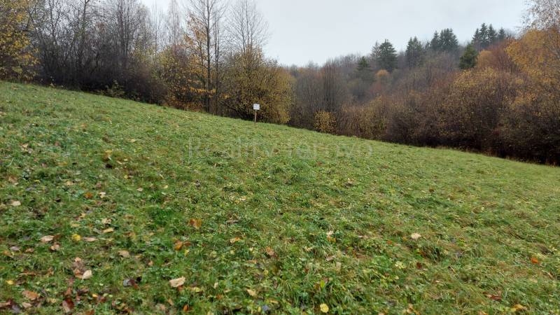 Grassy area with forest on Recreational land in Podhradie on Konské Street.