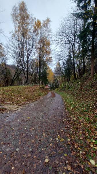 Autumn path between trees on Recreational Grounds in Podhradie on Konská Street.