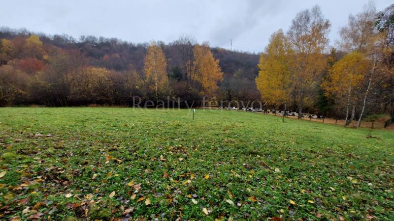 A green meadow surrounded by autumn trees in the Recreational Grounds at Konská in Podhradie.