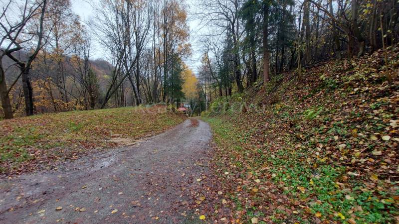 Autumn forest road on Recreational plots on Konská Street in Podhradie.