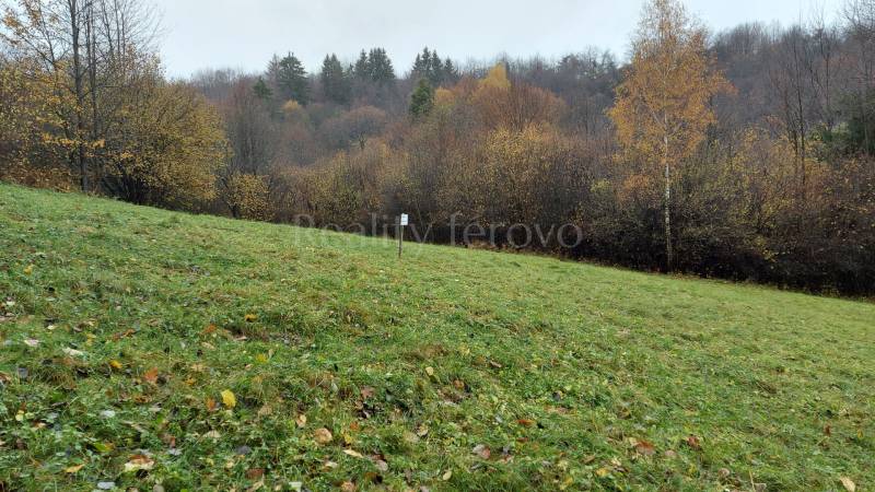 Autumn in the meadow in the village of Podhradie, Konské, surrounded by the dense forest of Recreational Lands.