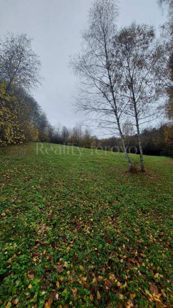 Green meadow with trees at the Recreational Grounds in Podhradie on Konské Street during autumn.
