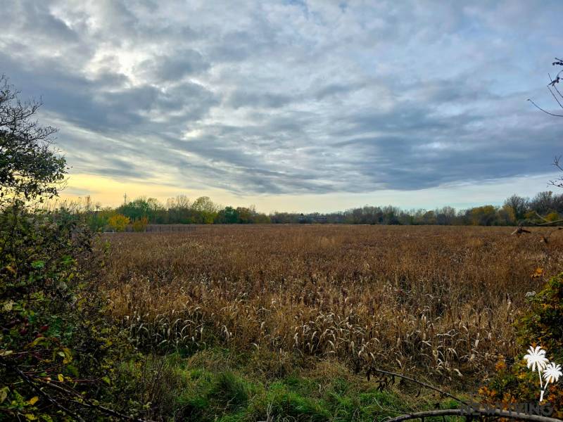 Land with fields near Moravany nad Váhom on Na Výhone street, category Land - residential.