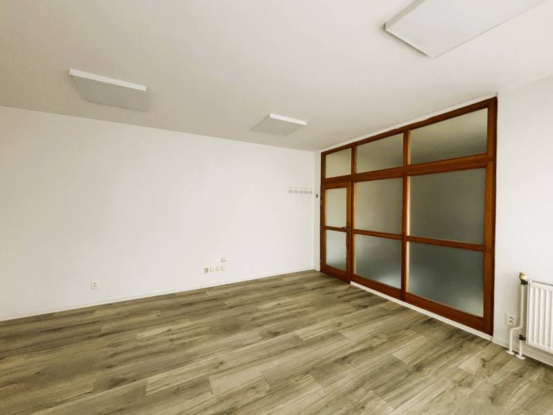 Commercial spaces with white walls and wood-patterned flooring, glass doors.