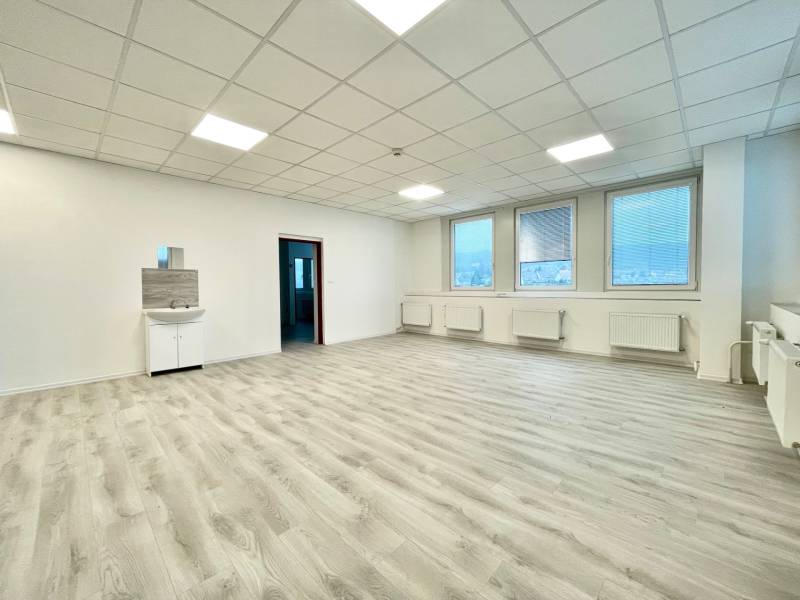 Large office with wood-patterned flooring and a sink.