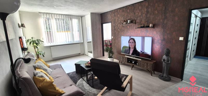 Living room in a two-room apartment with a sofa and a television, wooden decor flooring.