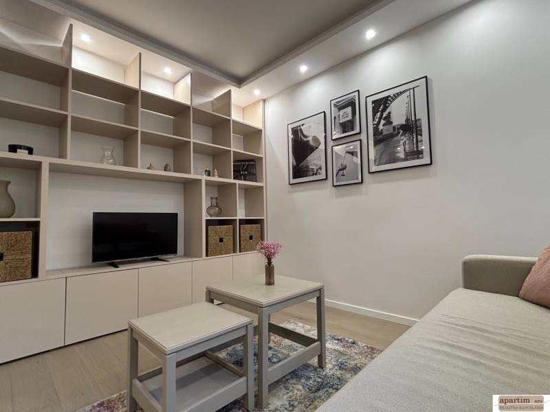 Living room in a two-room apartment with a built-in shelving unit, decorations, and a couch.