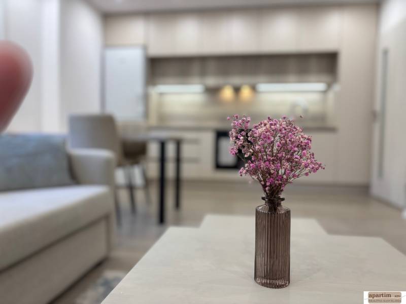 Living room with kitchen and flowers on the table in a 2-room apartment.