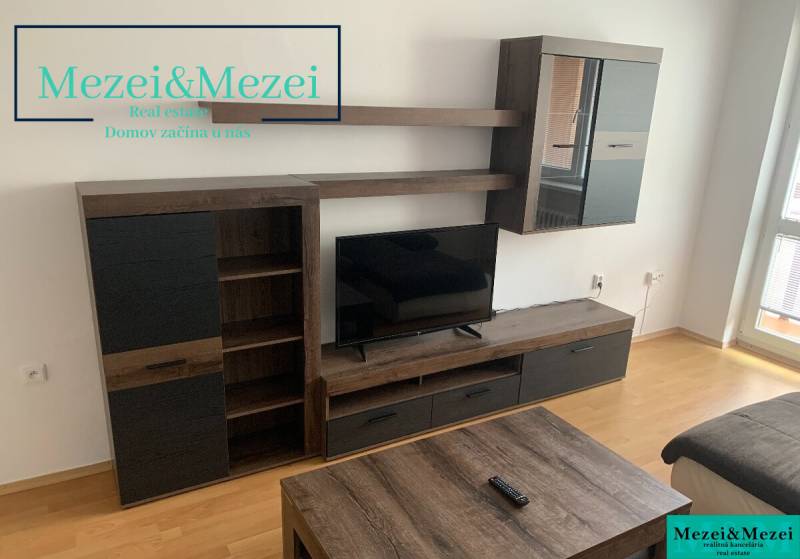 Living room with furniture and a television, wooden decor flooring in a 2-room apartment.