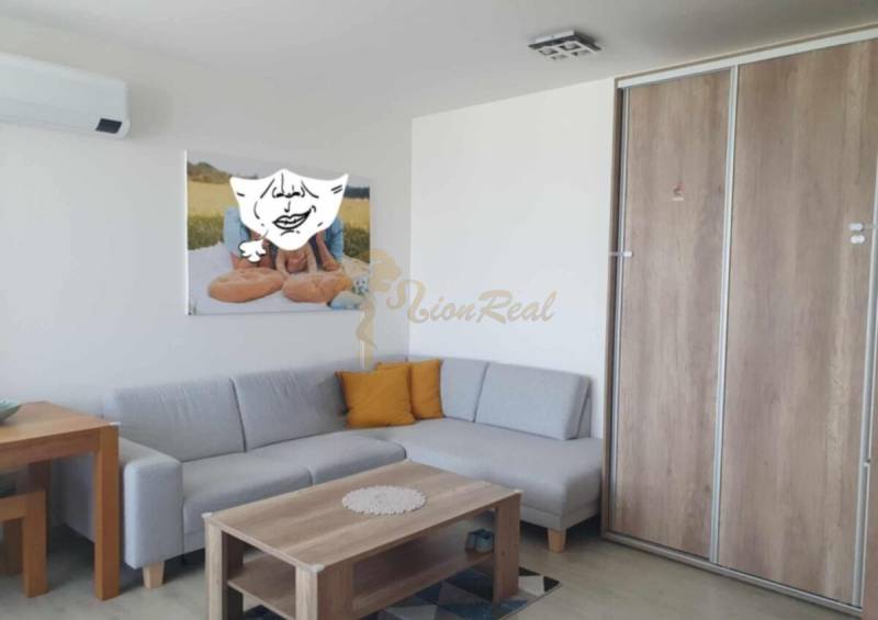 Living room with a gray sofa, wooden decor flooring in a two-room apartment.