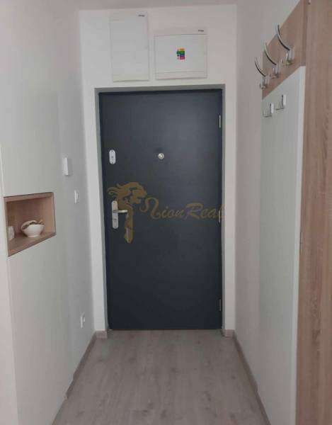 Entrance hall with gray doors, wood-decor flooring, and a coat rack, 2-room apartment.