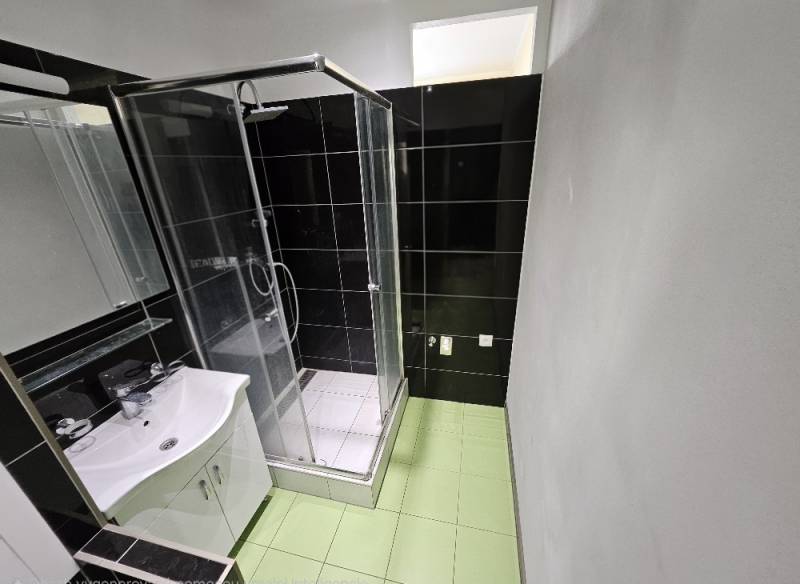 Bathroom in a 2-room apartment with a shower, green and black tiles.