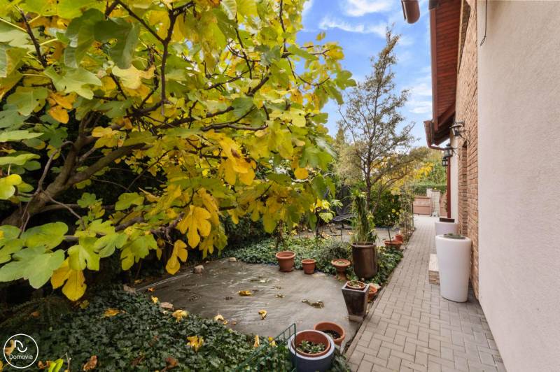 The garden of a family house on Košariská Street in Rovinka with a walkway and flower pots.
