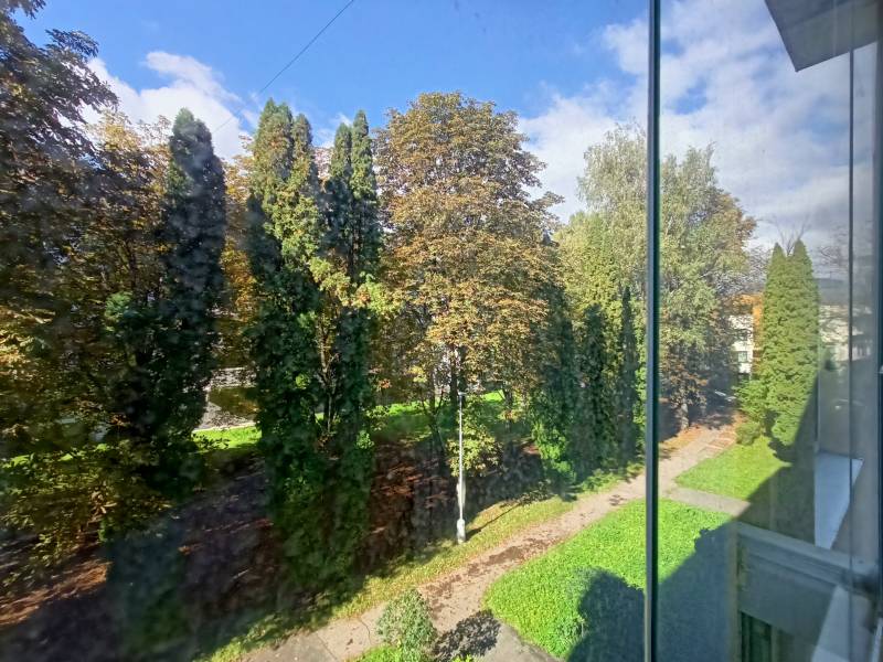 A view of green trees from a 2-room apartment on Severna Street in Martin.
